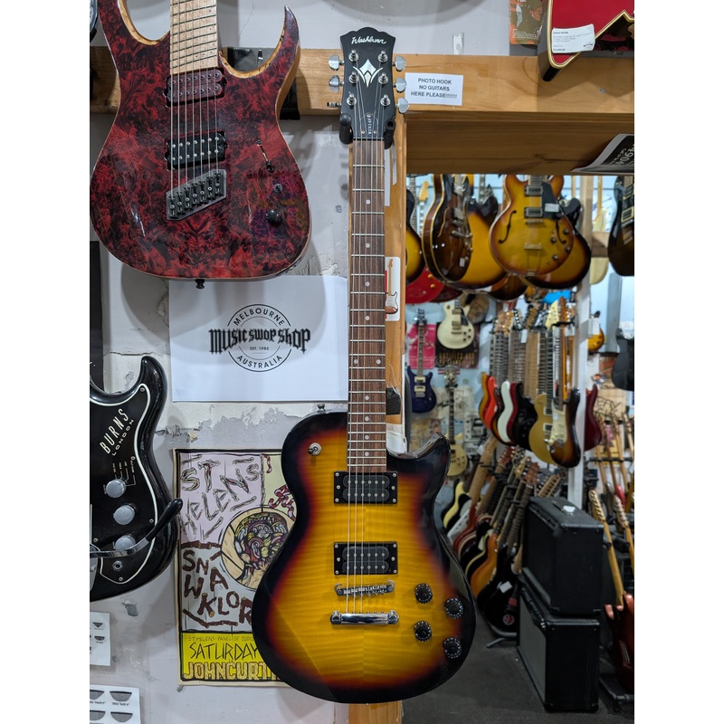 Washburn – WIN14F