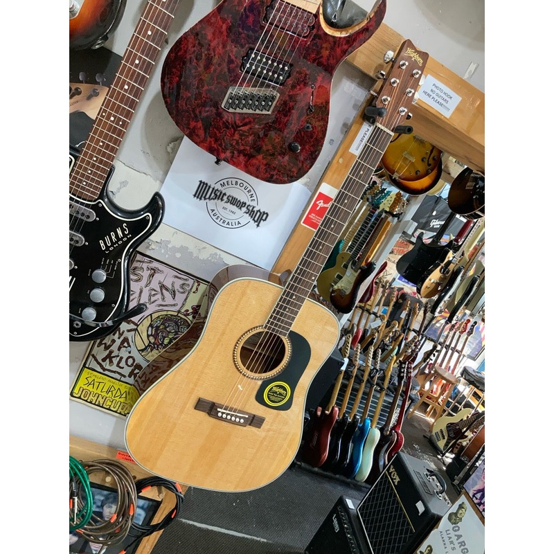 Washburn – D-10S