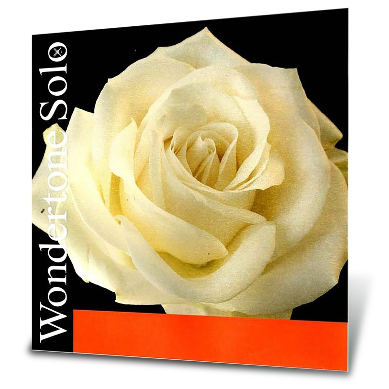 Pirastro Wondertone Solo Violin E String