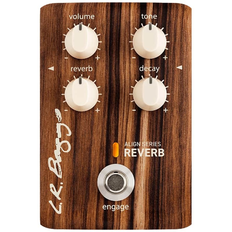 LR Baggs Align Series Reverb *Free Shipping in the USA*
