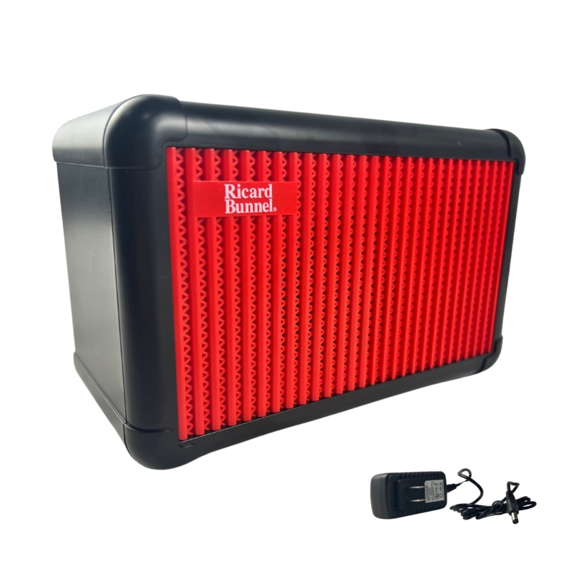 Ricard Bunnel Professional Violin Amplifier Upgrade