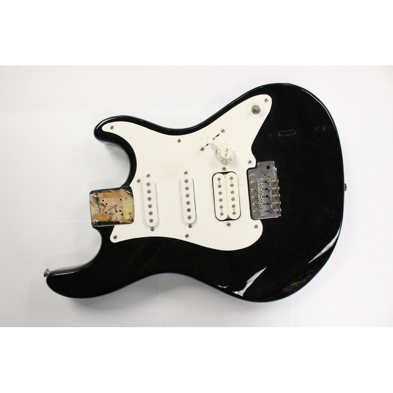 Fernandes Electric Guitar Body with Loaded Pickguard/Backplate with Screws