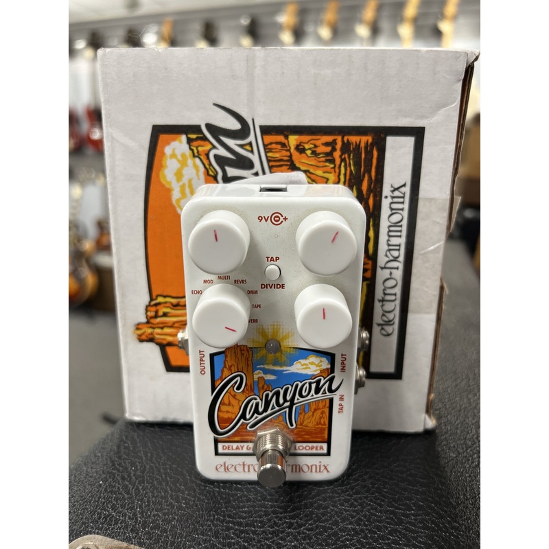 Electro-Harmonix Canyon Delay Used