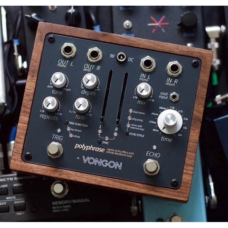 Vongon Polyphrase Stereo Delay *Free Shipping in the USA*