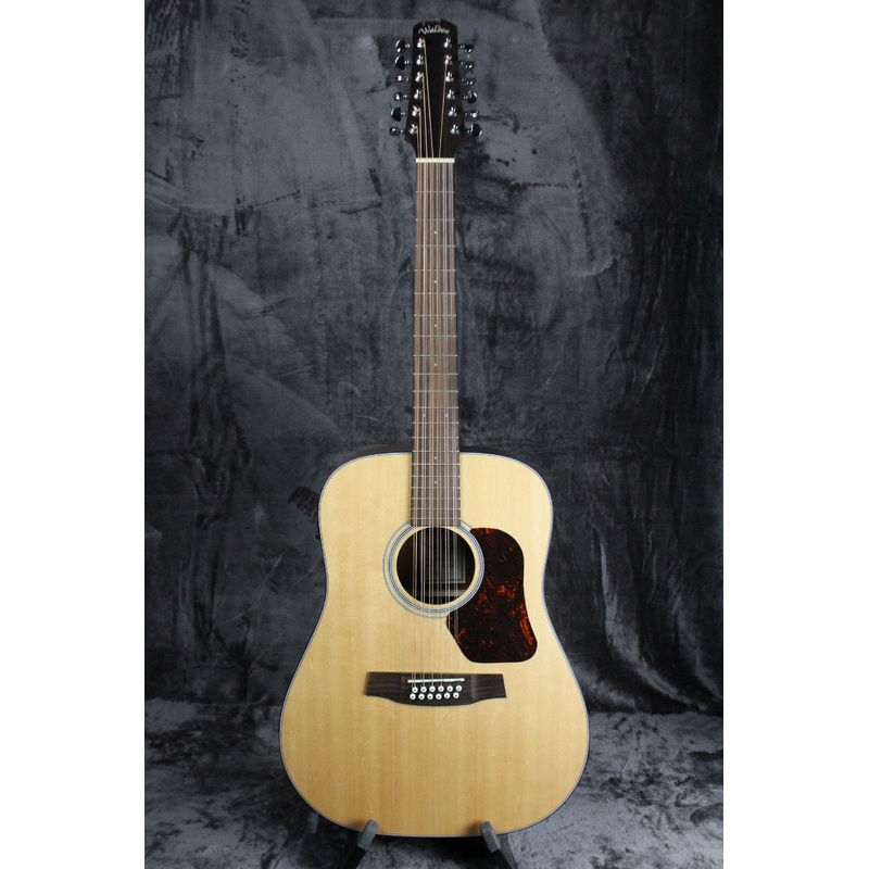 Walden Natura D552E 12-String