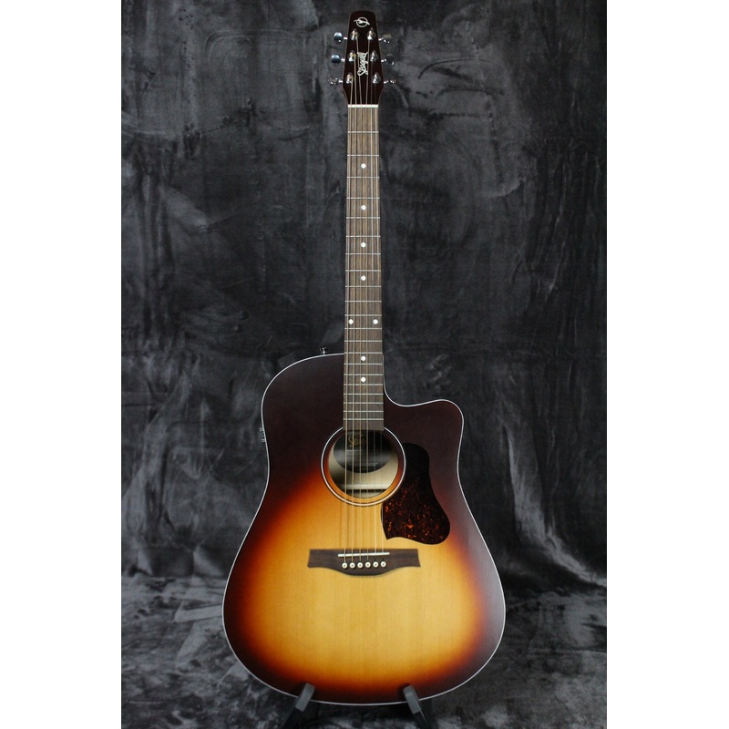 Seagull Entourage CW QIT
