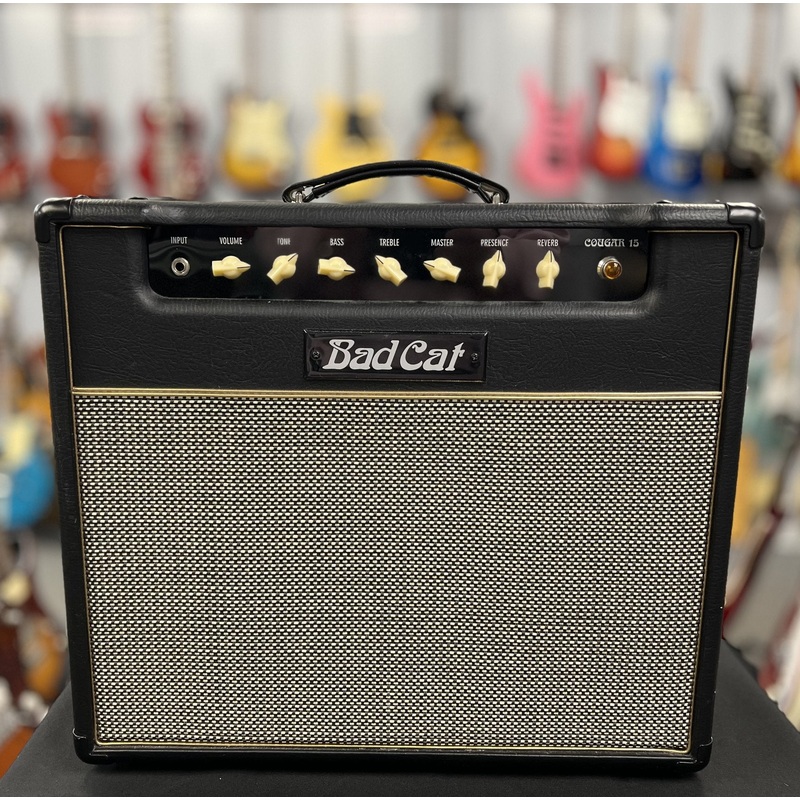 Bad Cat Cougar 15 Combo
