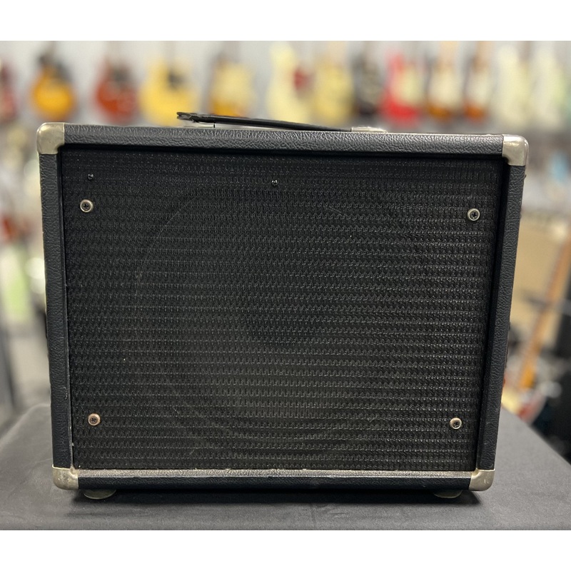 Mesa Boogie Extension Cab 1 X12