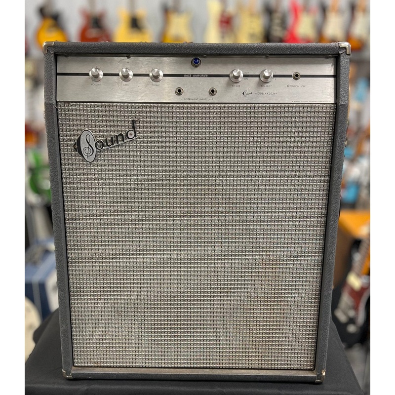 Sound Electronics Model X202+ Combo Amp