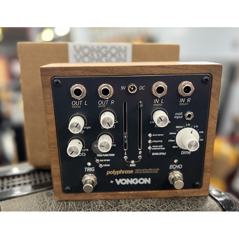 Vongon Polyphrase Stereo Echo Effect with Infinite Feedback Loop Used