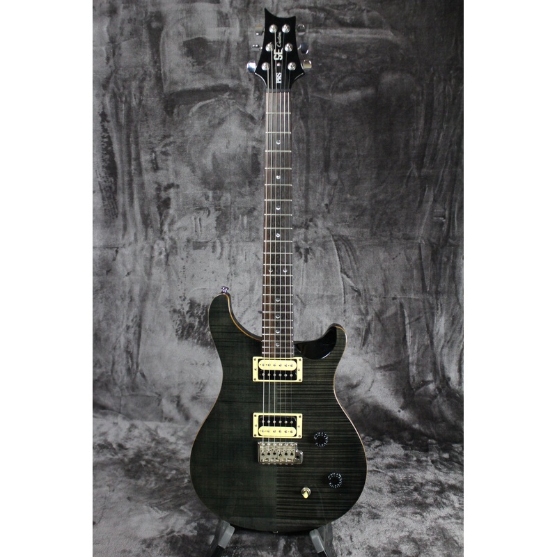 2008 Paul Reed Smith SE Custom 22