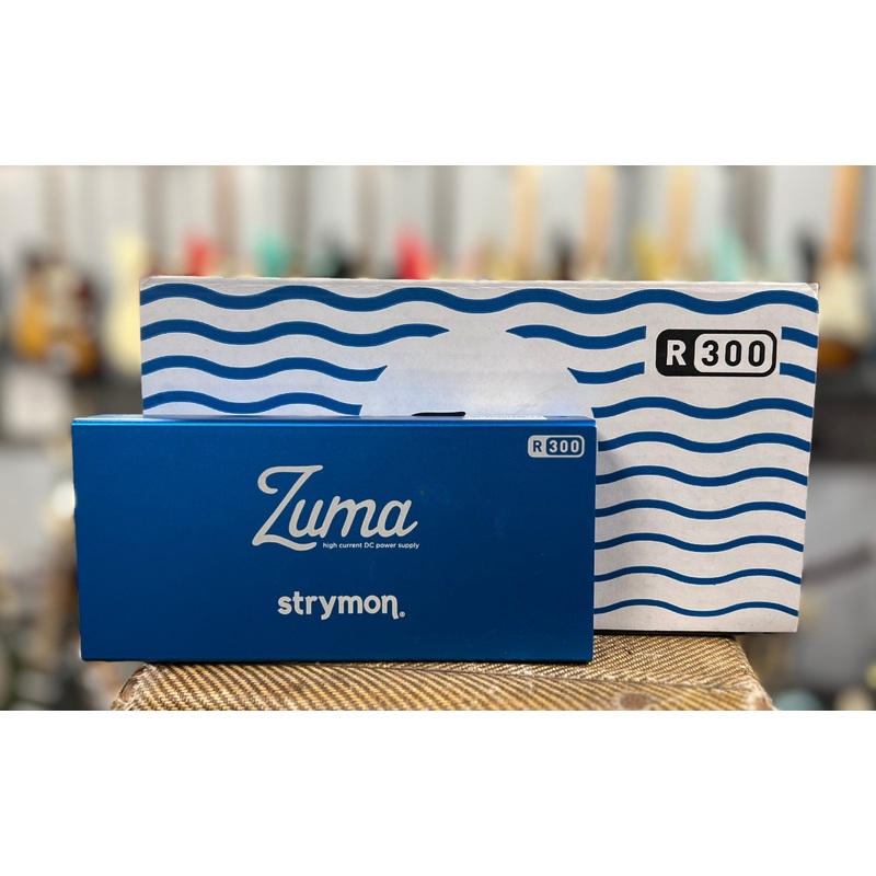 Strymon R300 Power Supply w/Cables & Box Used