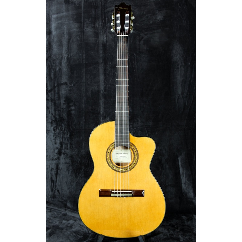 2015 Ibanez GA5TCE-NA Natural Classical Cutaway