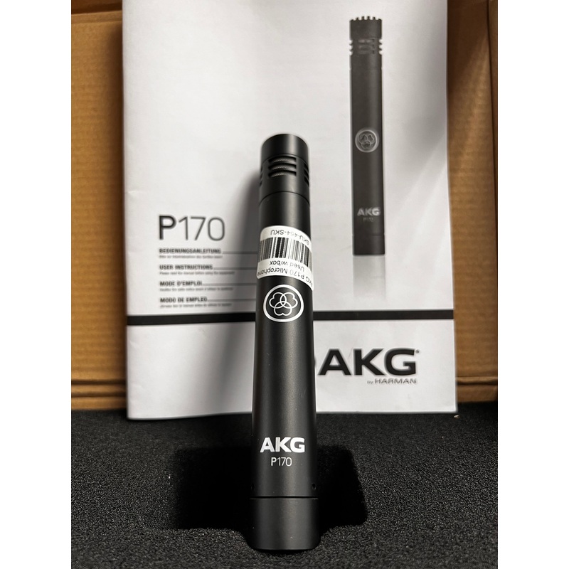 AKG P170 Small Diaphragm Cardioid Condenser Microphone