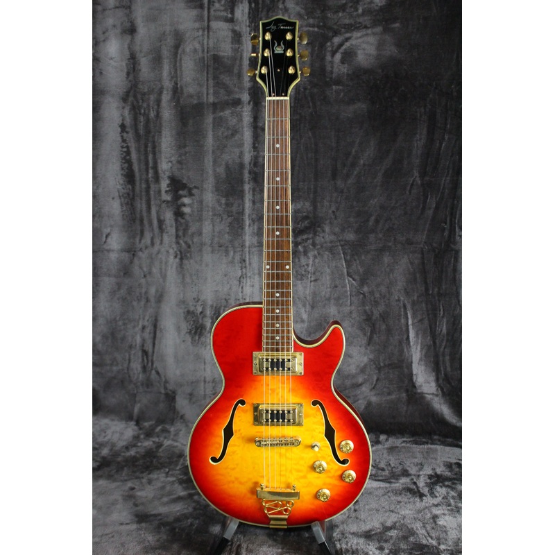 Jay Turser JT-134 Semi-Hollow
