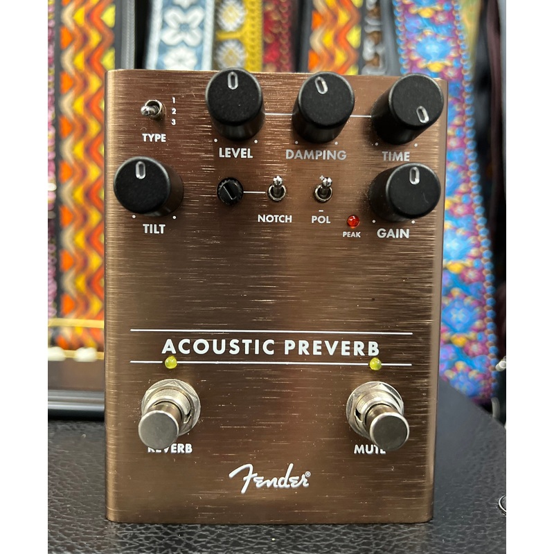 Fender Acoustic Reverb Used