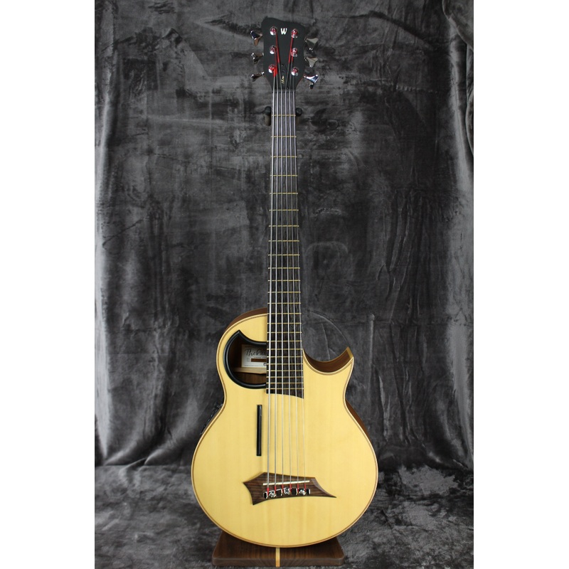 Warwick The Alien 6 String Acoustic Bass
