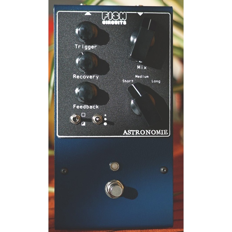 Fish Circuits Astronomie Digital Spring Reverb *Free Shipping in the USA*