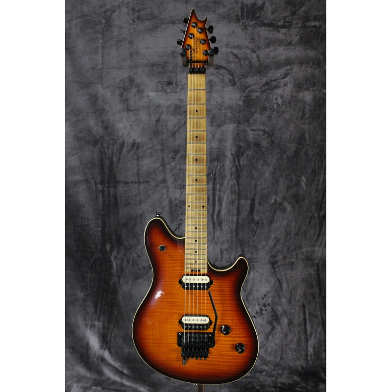 EVH Wolfgang Special