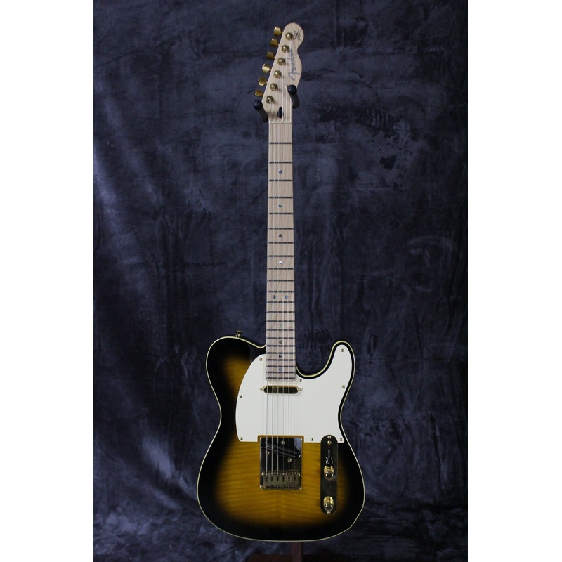 Fender Ritchie Kotzen Telecaster CIJ w/ hsc