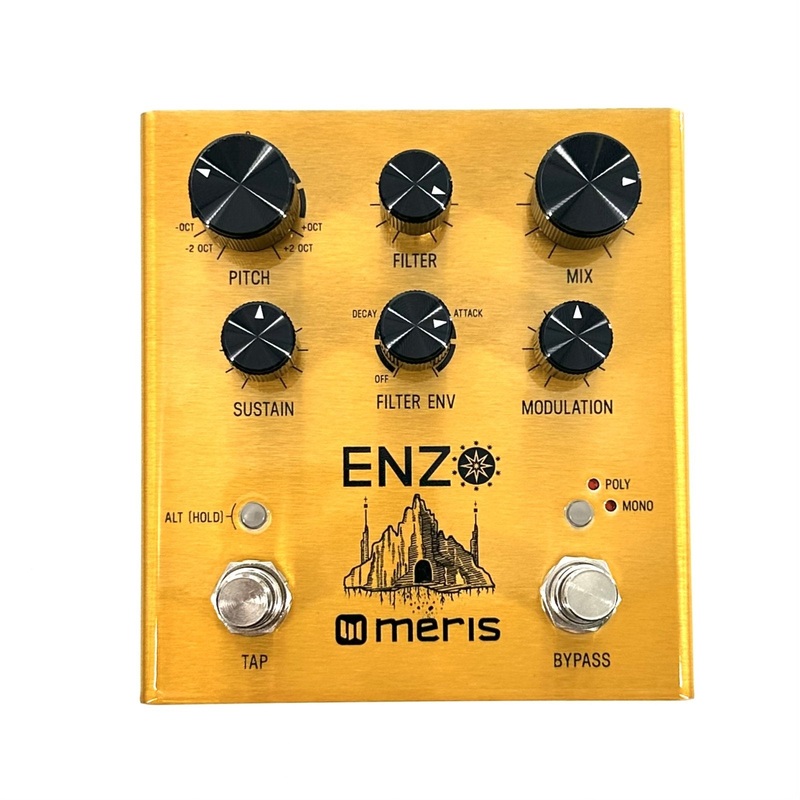 Meris Enzo Synthesizer Pedal Free Shipping in the USA