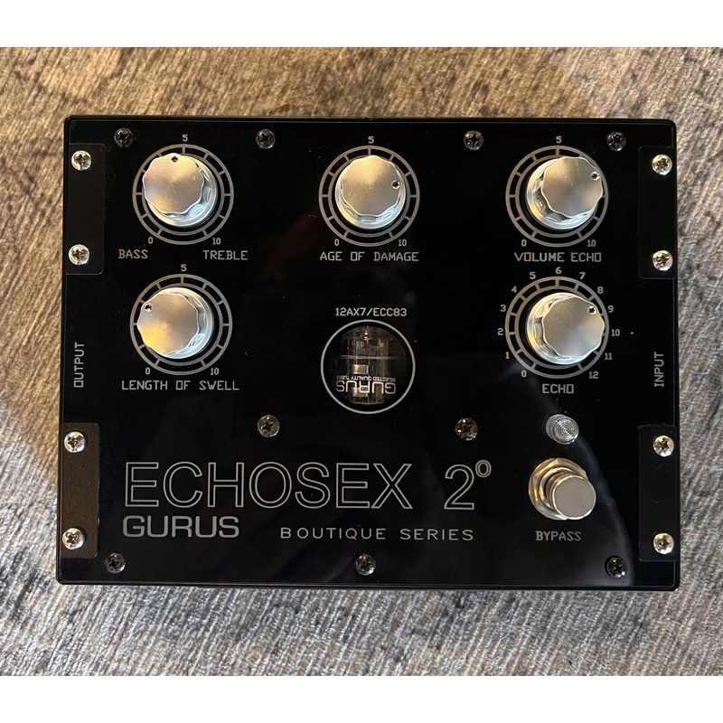 Gurus EchoSex 2 Used